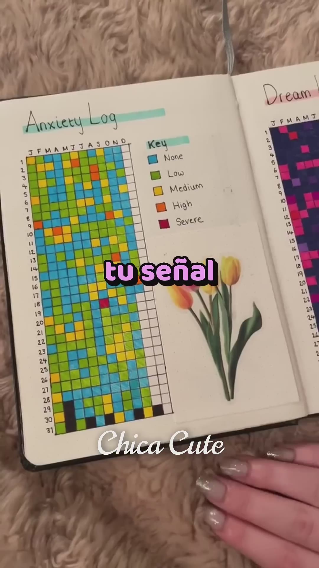 📈💖 El mood tracker journal que NECESITAS probar 😱✨ #ViralShorts #GlowUp #Productividad