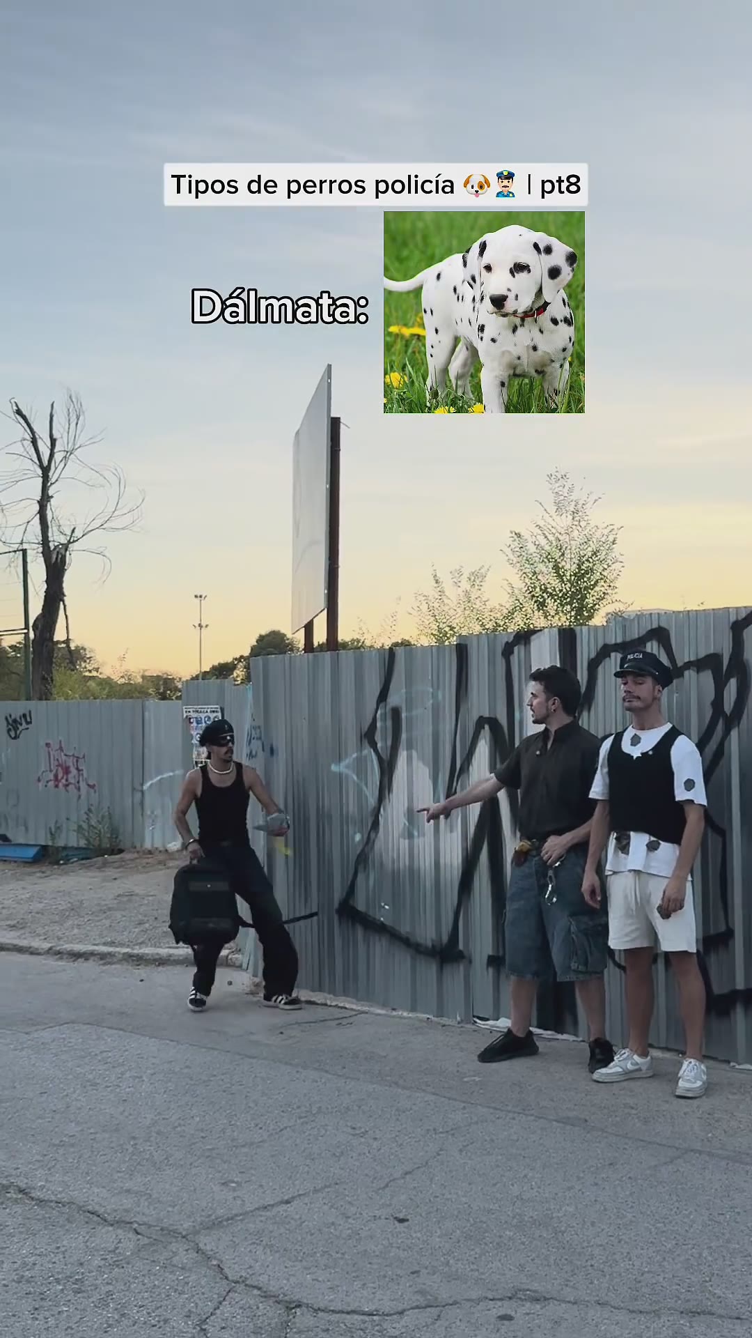 Llegamos a 2M?🤯 #humorperros #humorviral #humormascotas #perrosderisa #memesdeperros