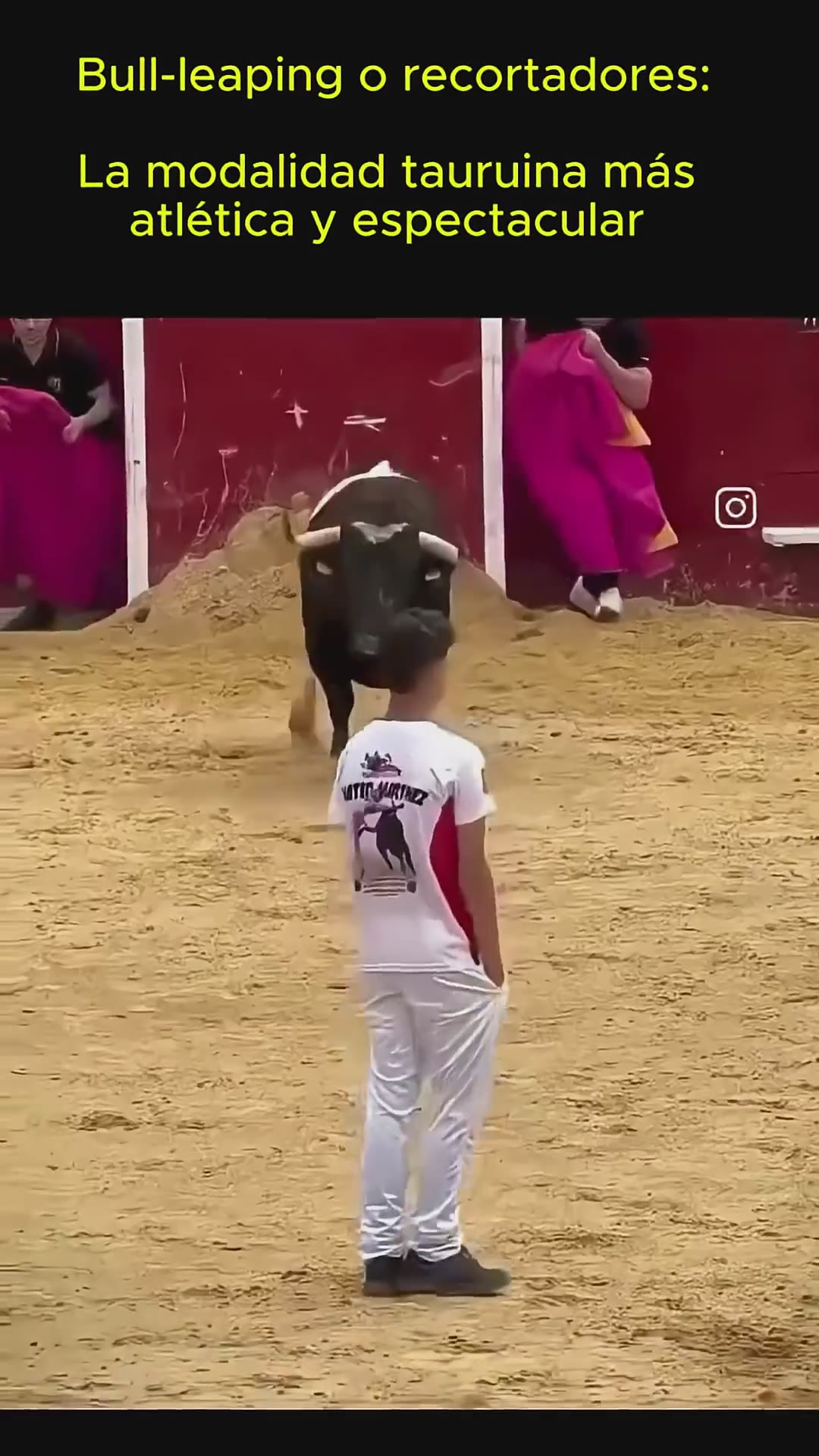 🔥 ¿Te atreves a saltar por encima de un toro bravo… sin capa, sin arma y sin herirlo?