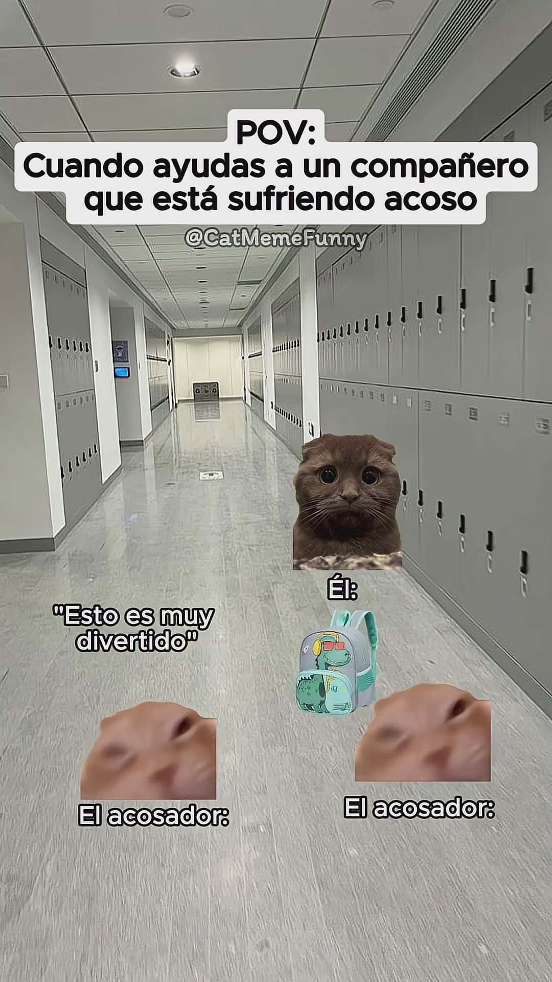 CAT MEME FUNNY 😹 Cuando ayudas a un compañero que está sufriend #relatable #cat #relationship