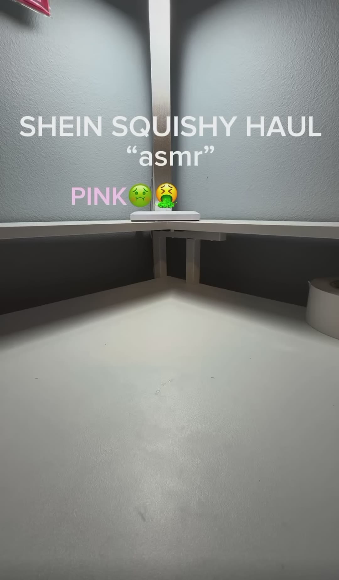 SHEIN SQUISHY HAUL💨 #asmr #satisfying #unboxing #ijusf4rted #shein #squish