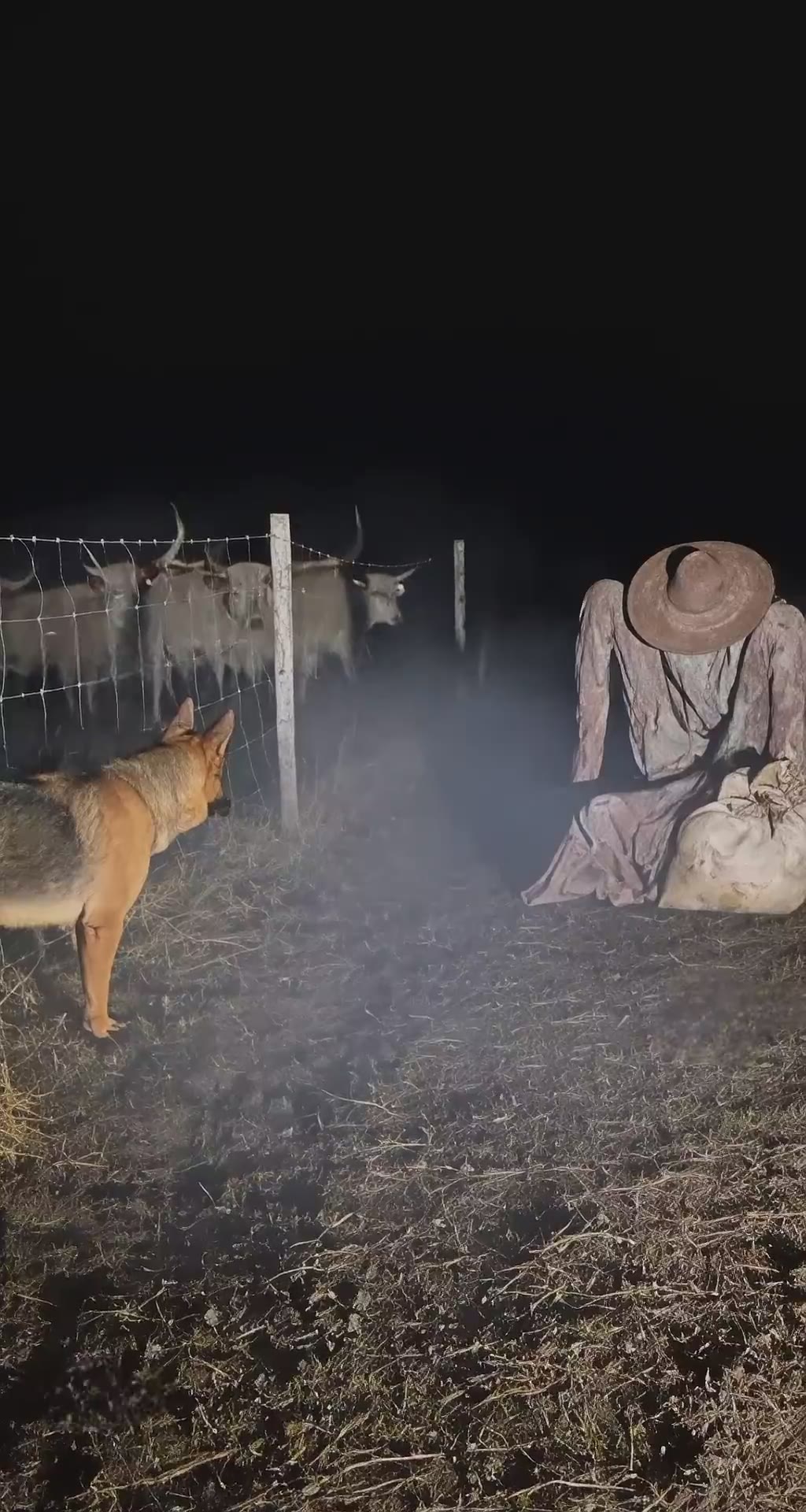Silbón parte 2 captado por cámara rural!#elsilbon #leyendavenezolana #ia #foundfootage #terror