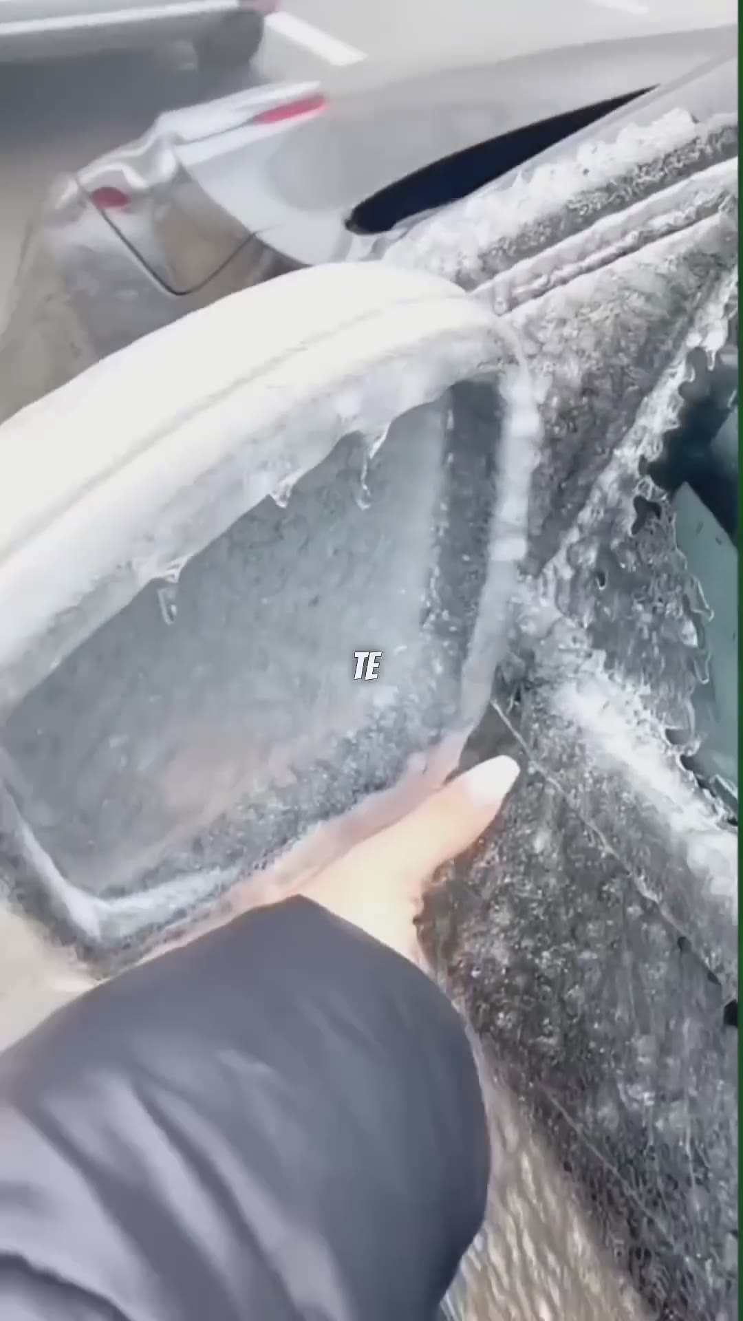 Datos Curiosos [31] #hechoscuriosos #datoscuriosos #satisfying #satisfyingvideo #hechos