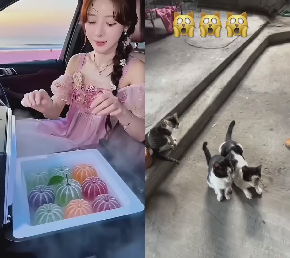 Why Freeze it 🙀 #subscribe #viral #trending #cats #kitten #kitten #cat #cat #youtuberchannel