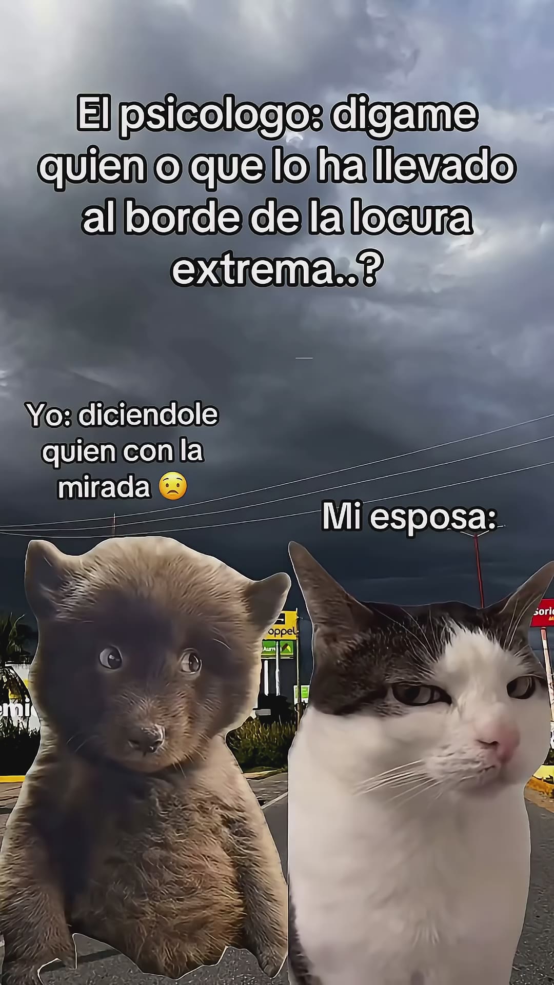 CUANDO VAS AL PSICÓLOGO CON LA QUE TE CAUSA EL STRESS #pareja #humor