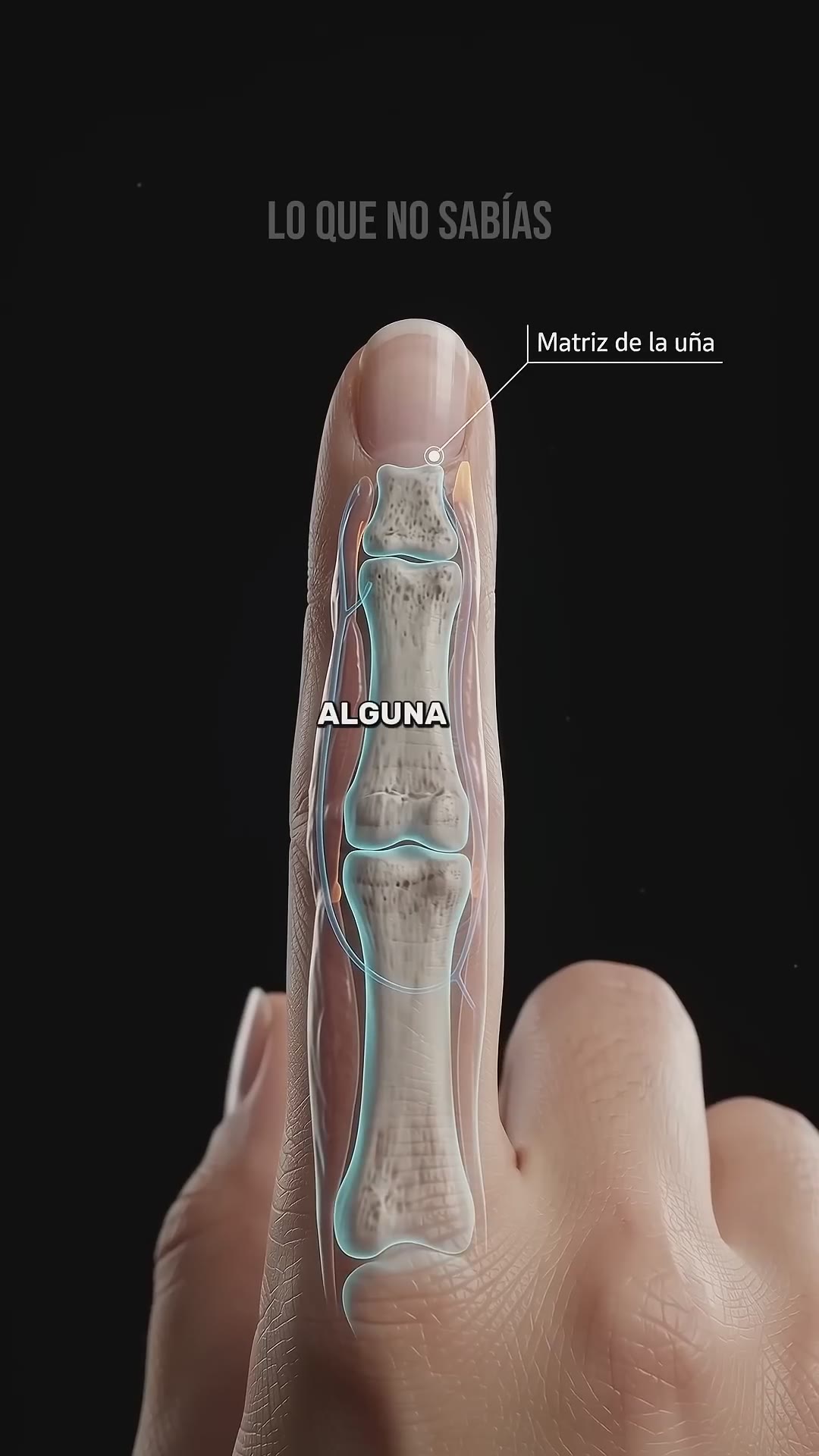 No creerás cómo crecen tus uñas 🤯 #uñas #nails #curioso
