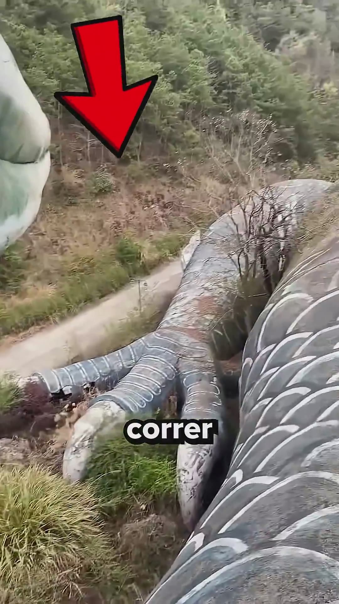 Devo Correr Se Ver Isso 12 #curiosidades