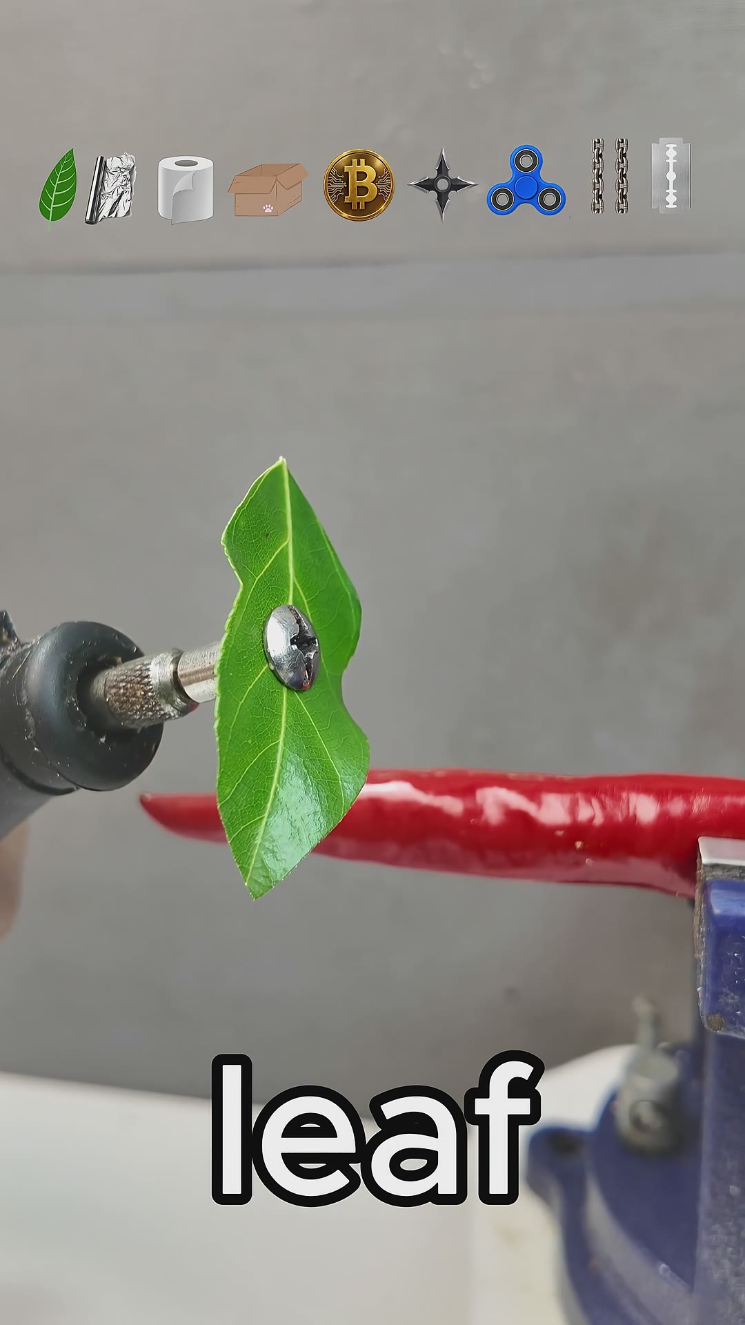 Can You Guess Which Material Cuts Red Chili? 🌶️ #asmr #satisfying #experiment #shorts
