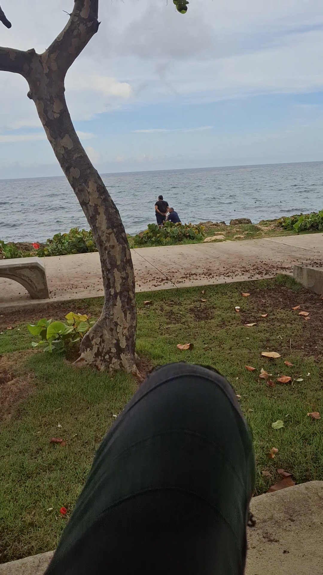 Mirando el mar #elmalecon #paz #viral