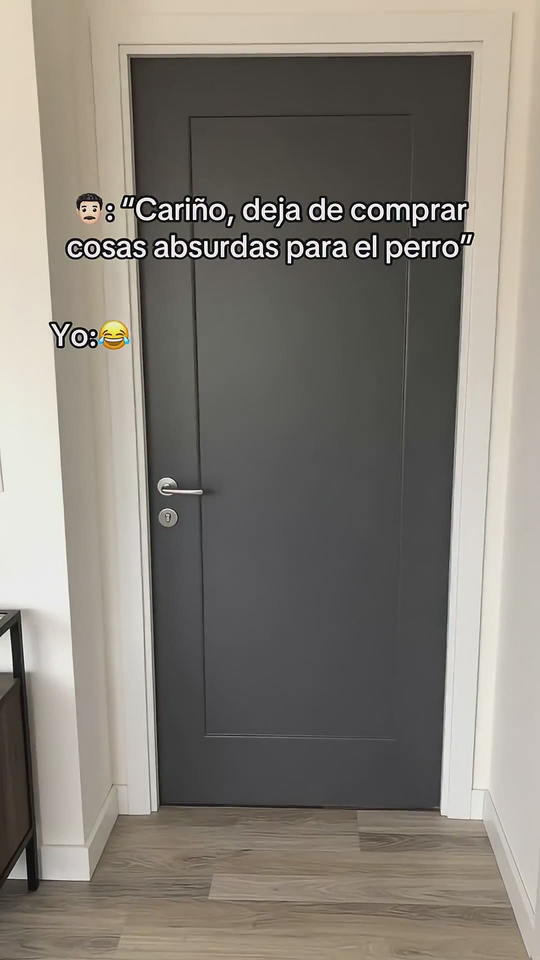 Si lo quieres entra en los comentarios👀❤️ #dog #perros #cachorrosdivertidos #dueñosdeperros