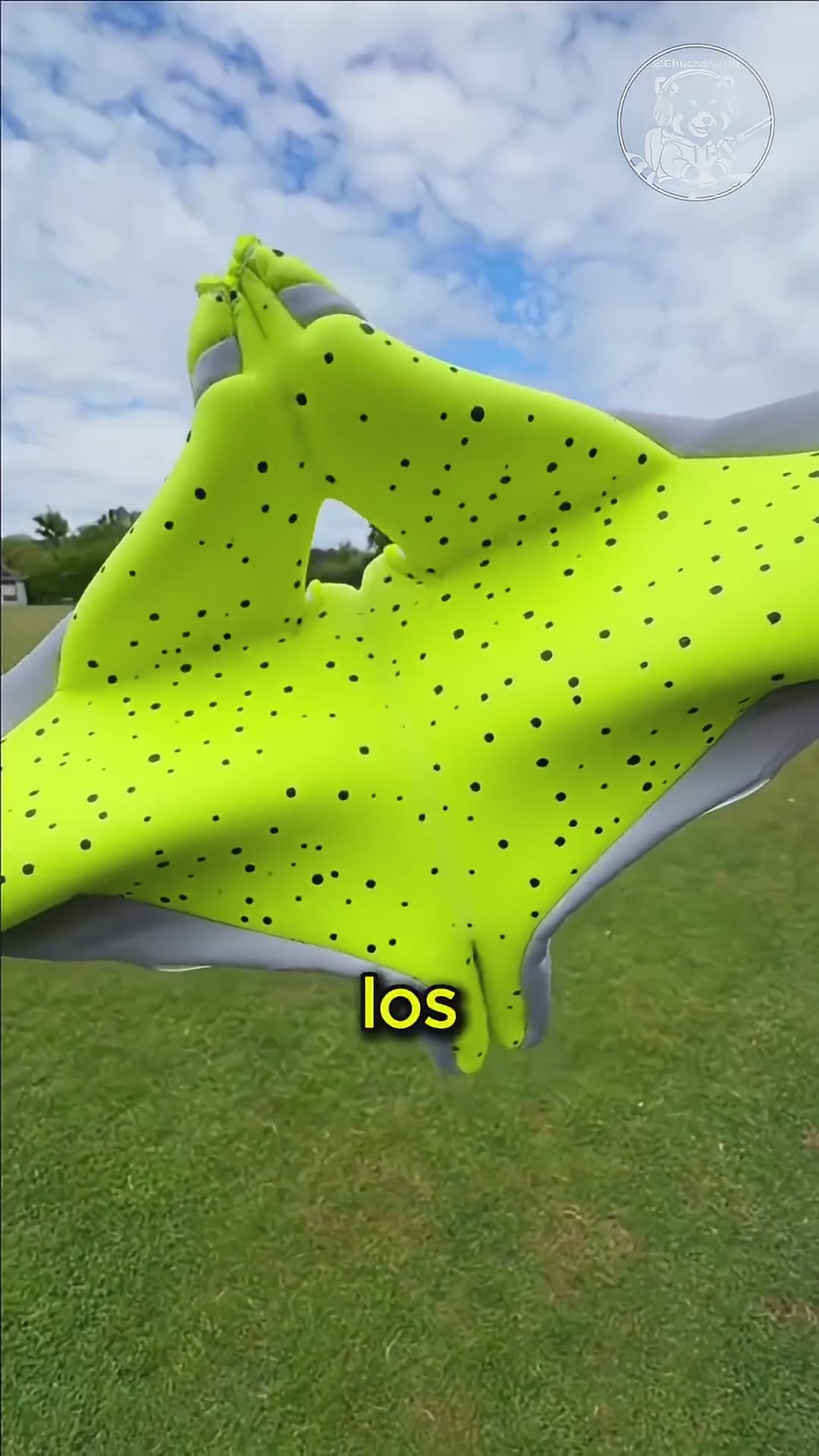 ¿Cómo Se Pegan las Pelotas a los Guantes? ⚽🧤
