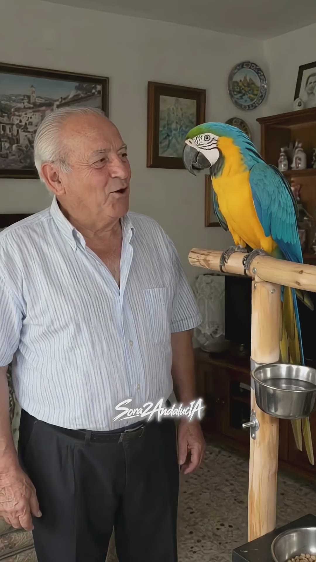 El loro Malhablao #humor #comedia #abuelos #chiste #loro