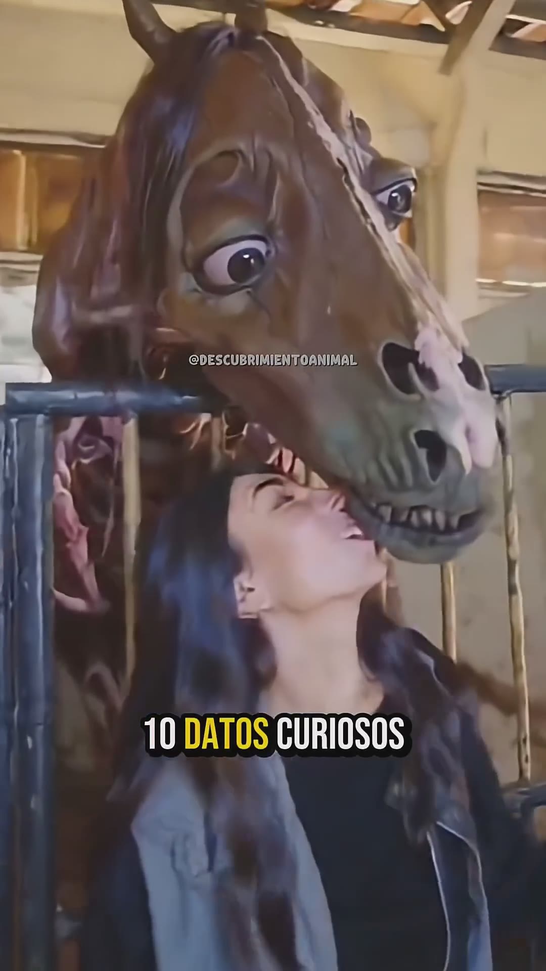 10 datos curiosos que probablemente no sabías sobre los animales #mundoanimal #wildlife