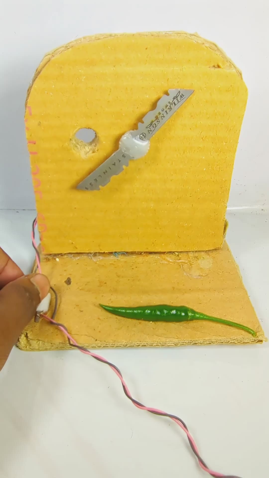 Chilli Cutter diy experiment 🔥 #dcmotor #chilimachine #diy #youtubeshorts #project #grind #shorts
