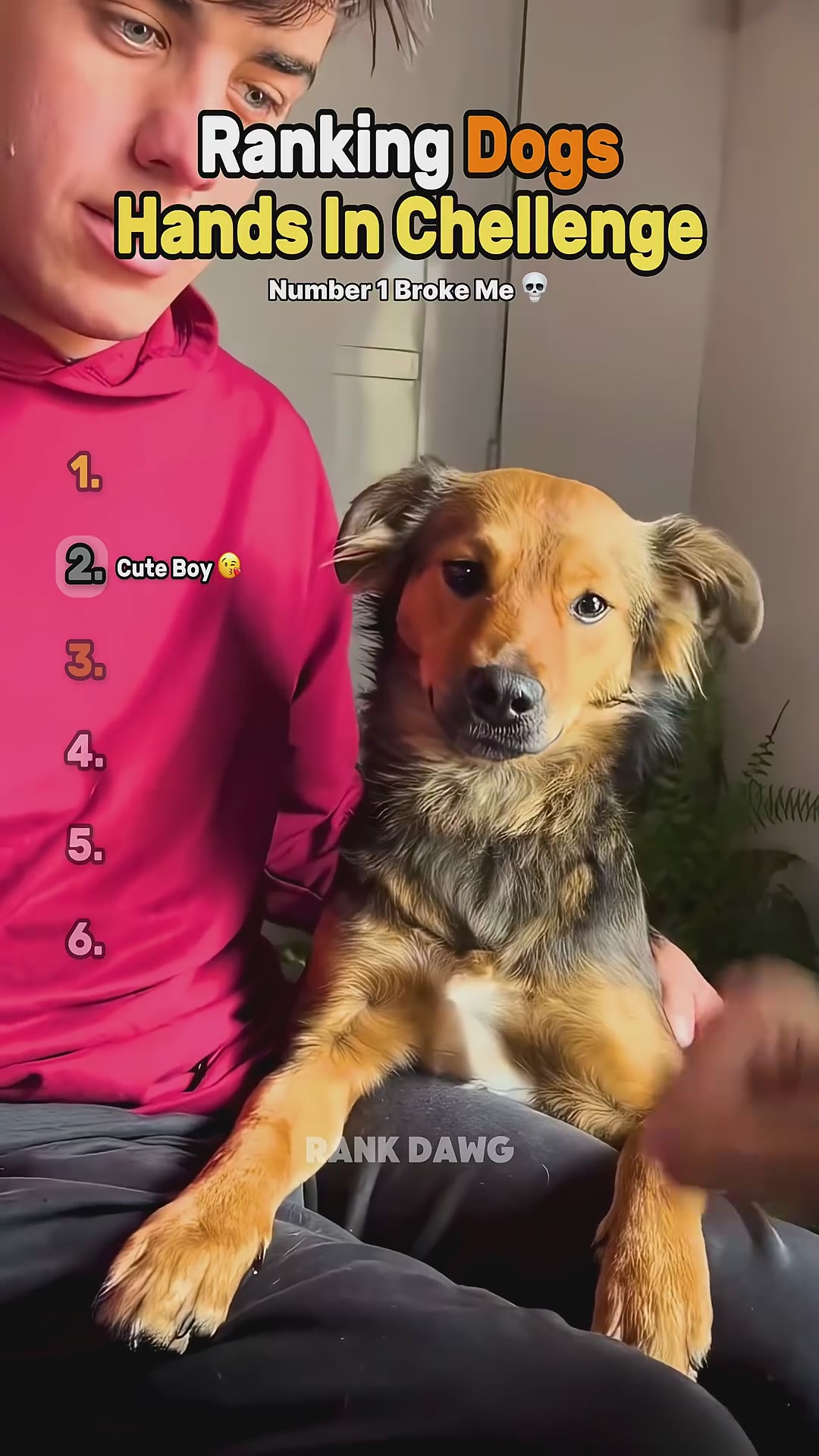 Ranking Dogs Hands In Challenge 🤚