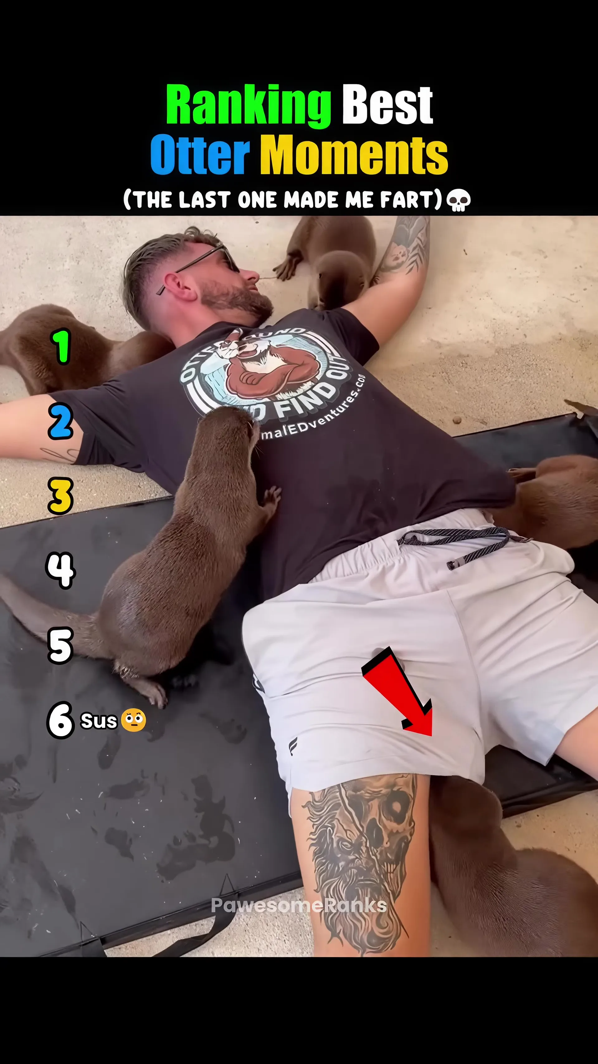 Ranking Best Otter Moments🥹