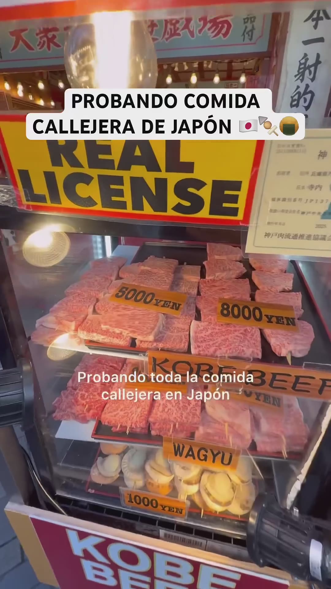Esto es todo lo que puedes comer de Comida callejera en Osaka Japón 🍙🥟🇯🇵