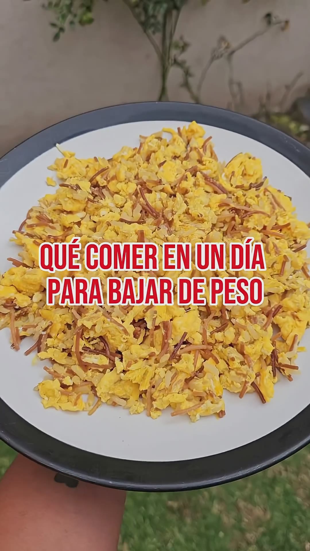 Que comer en un día para bajar de peso #tip #comida #fit