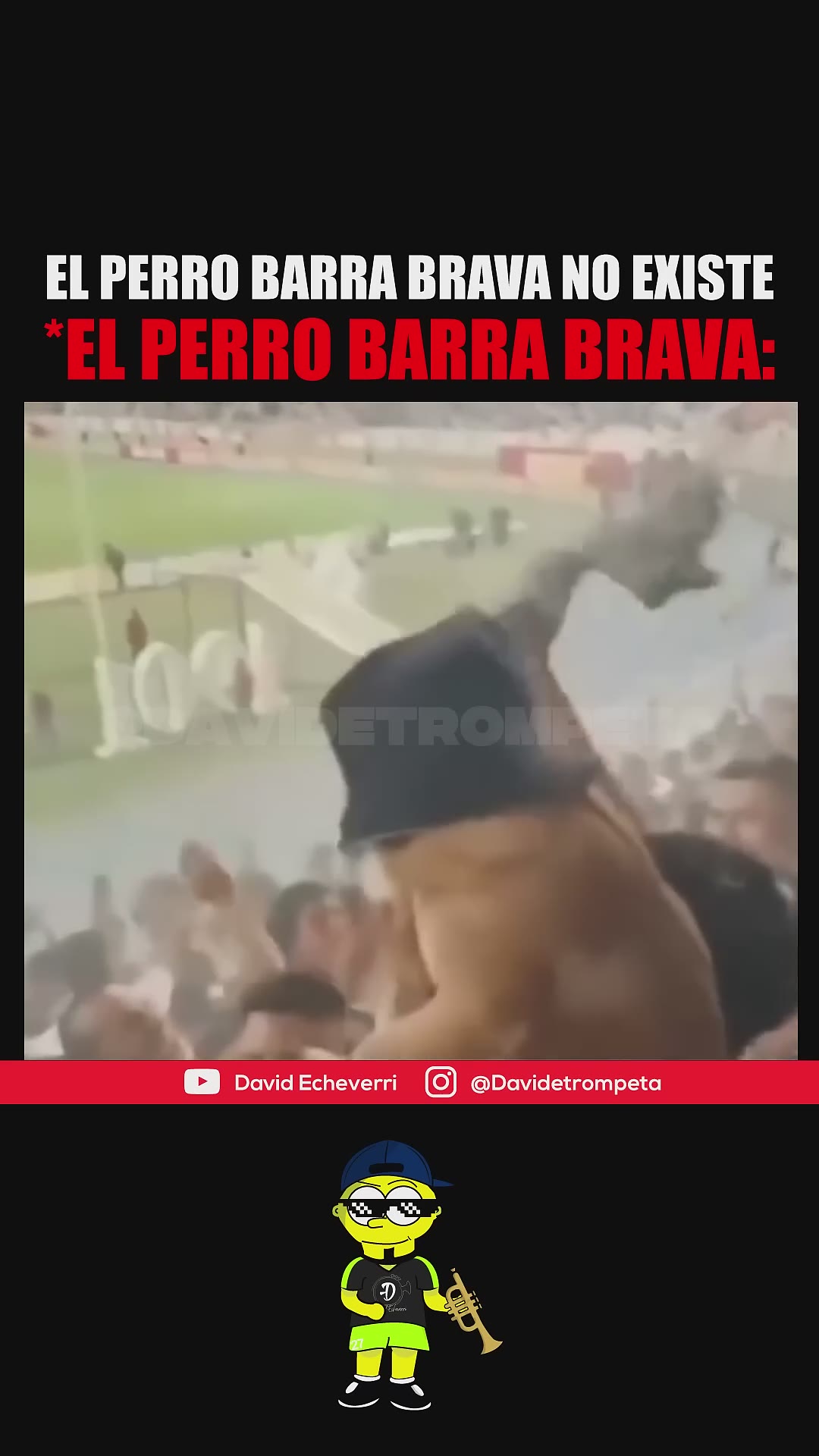 EL PERRO BARRA BRAVA NO EXISTE * EL PERRO BARRA BRAVA | #PerroBarrabrava #funny #futbol #viralvideo