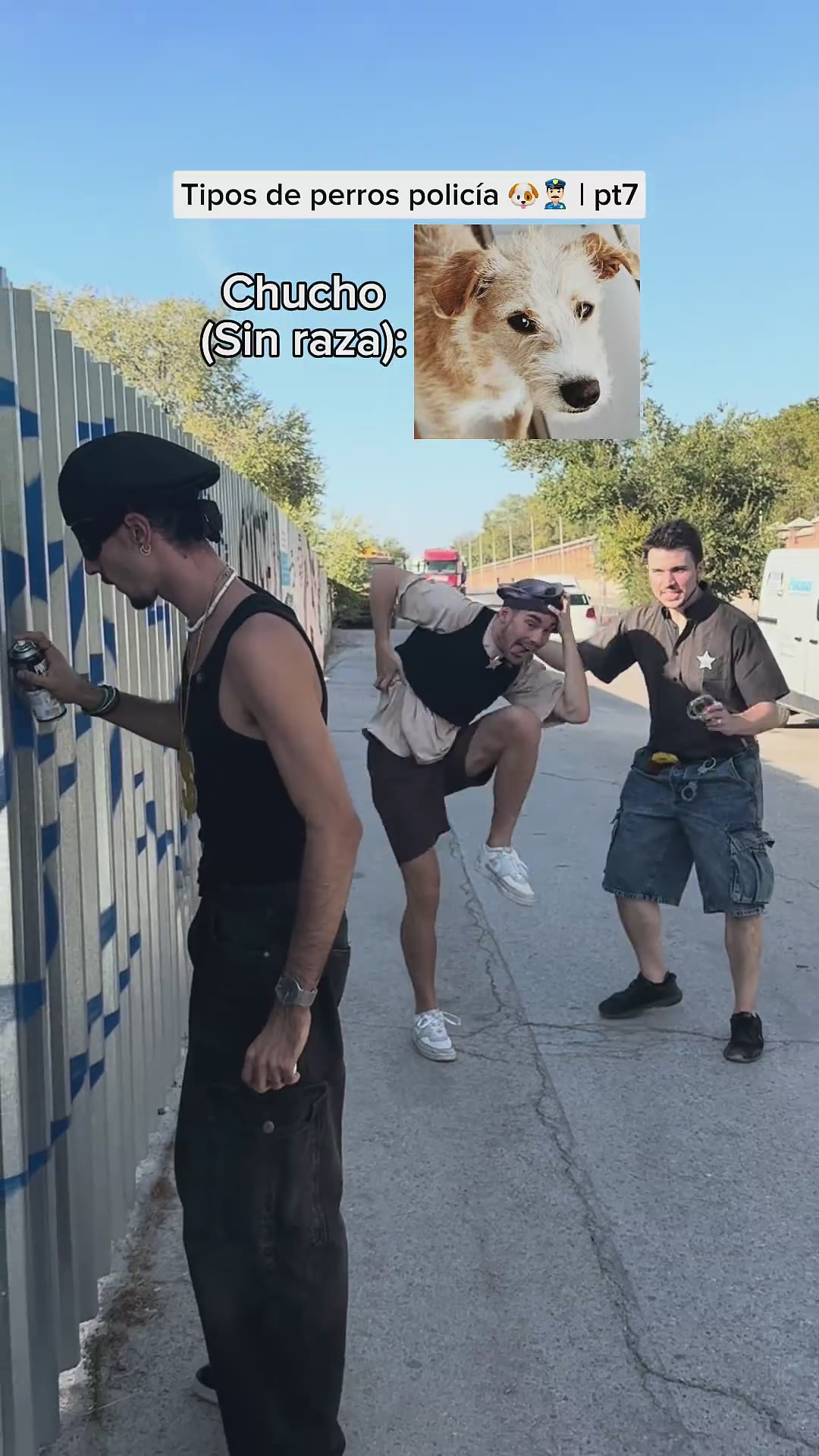 Maratón de Bobby 2 en YT🔥MAÑANA#humorperros #humorviral #humormascotas #perrosderisa #memesdeperros