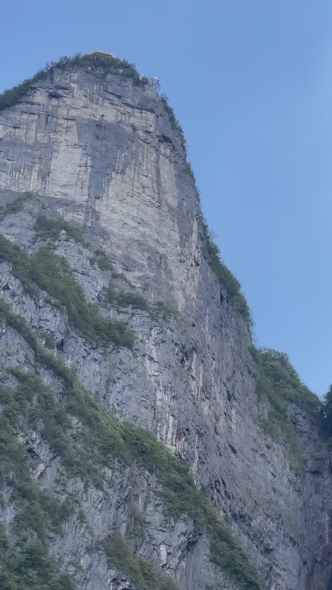 Target competition World Wingsuit League China 🇨🇳 #wingsuit #basejumping #competition #target