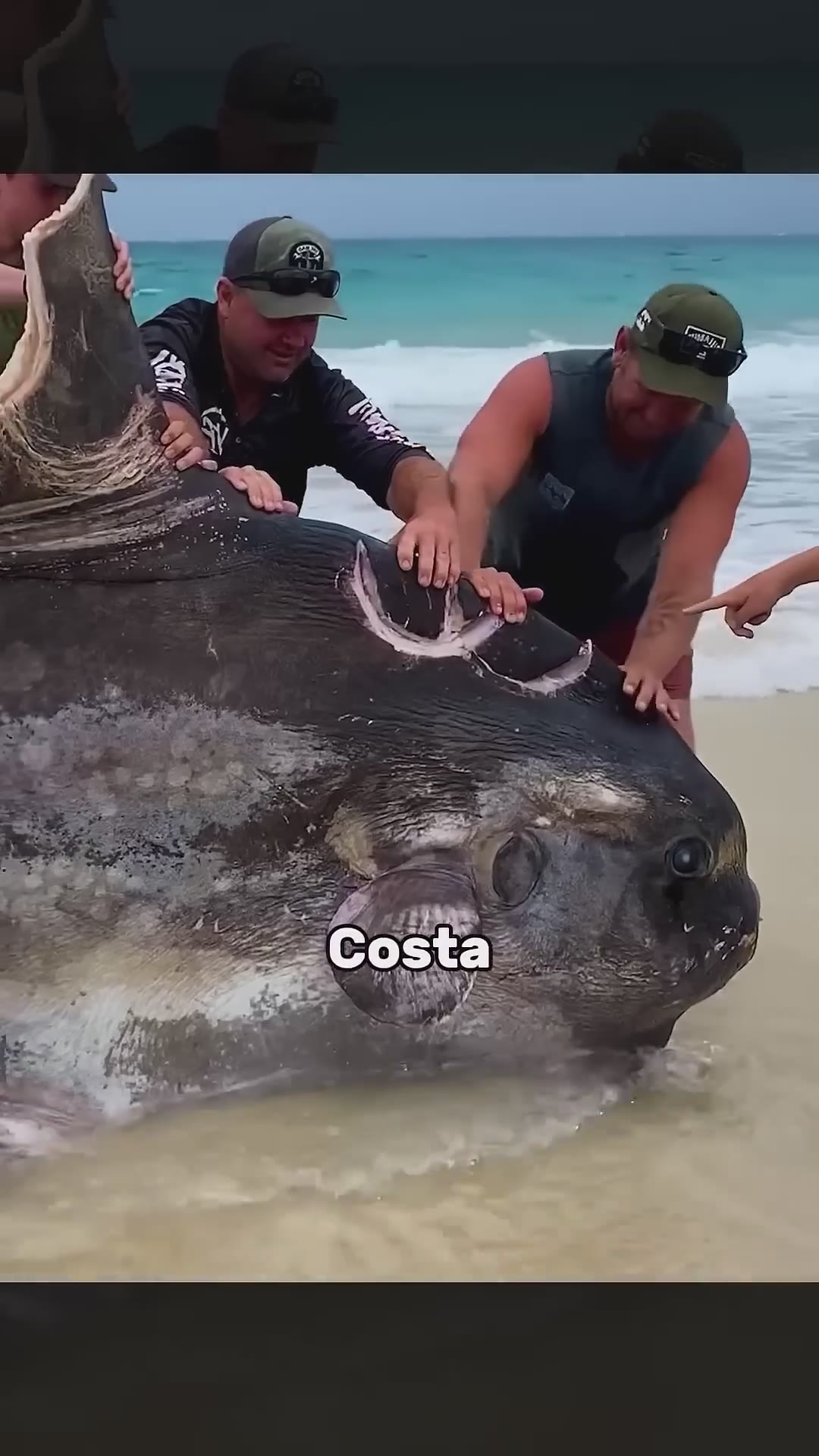 O que as profundezas do oceano esconde? #curiosidades #misterio #oceano #megalodon
