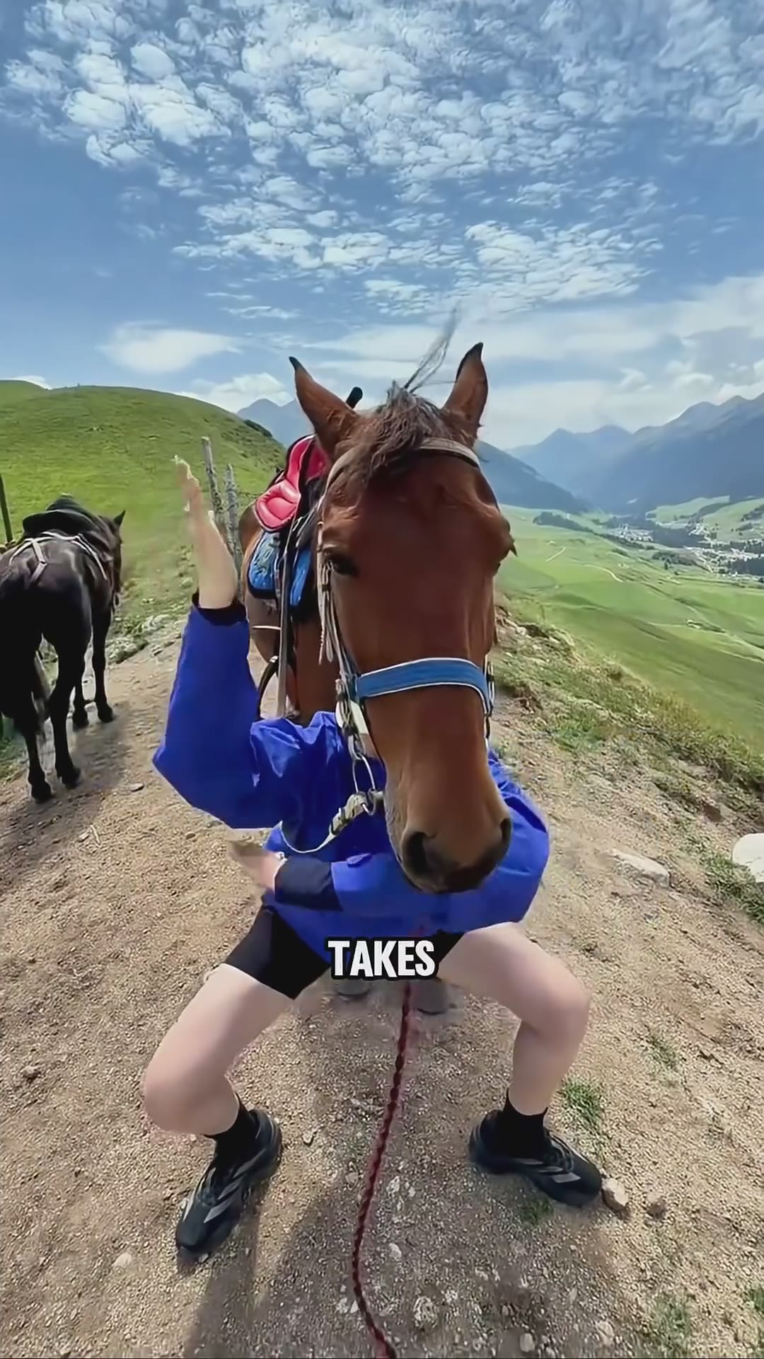 Animals look completely different from another angle #shorts #animals #cute #funny