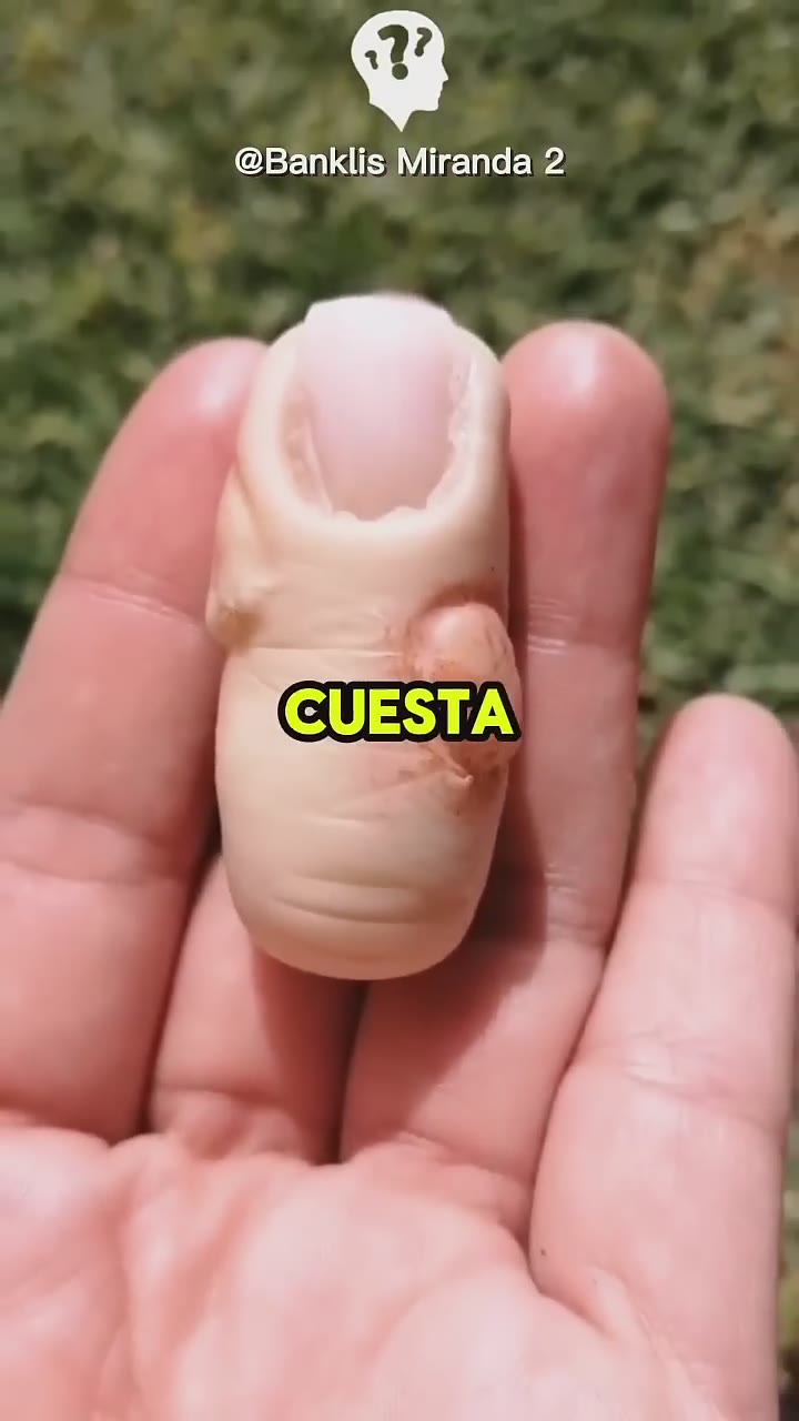 Datos Curiosos [194] ☠️ #hechoscuriosos #datoscuriosos #satisfying #satisfyingvideo